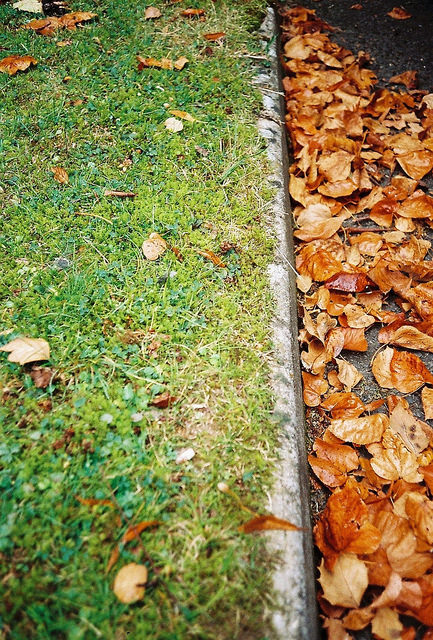 15309097159_d9c938b7e7_z