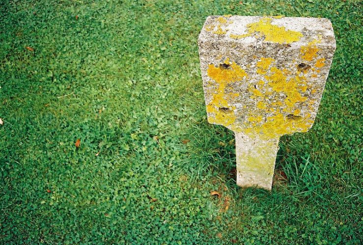 15309436457_4c2d2425ff_c