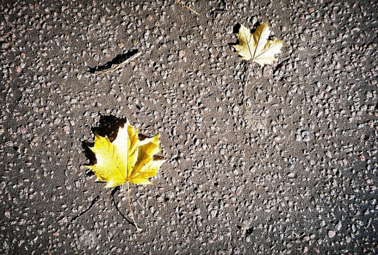 23458574272_eb09d0a421_c