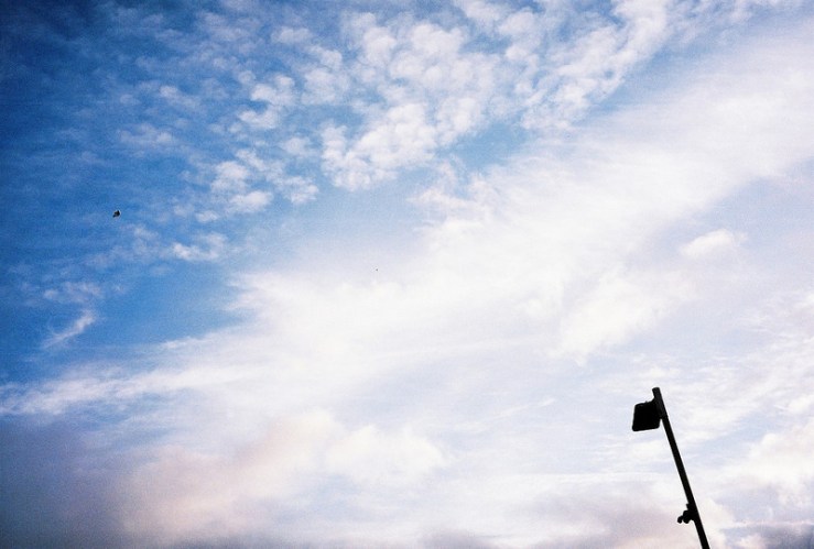 23541042726_5ba5b3713d_c