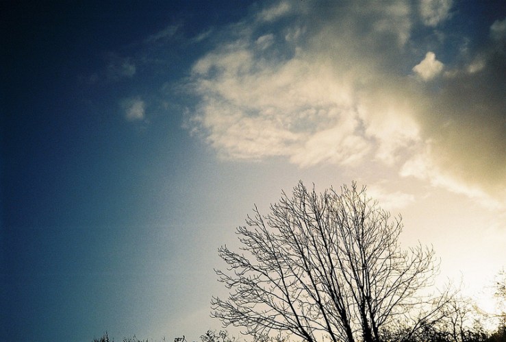 23753547285_ef8b10ef9c_c