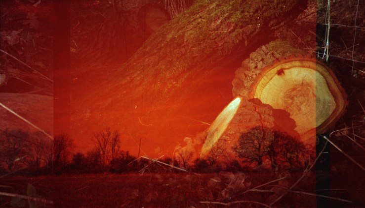 8494645965_4c79b949c4_c