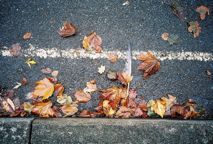 21547572634_5d65f3ce2d_c