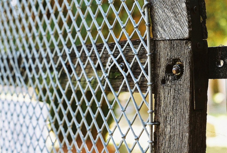 21735988775_ab9f77c58a_c