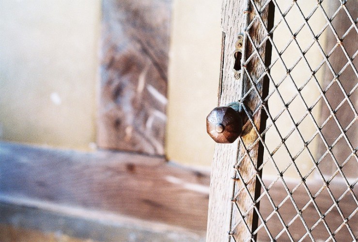 17311107139_f8b9bf2254_c