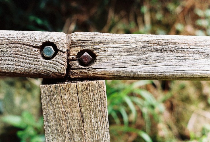 21870079178_d6e08cbb85_c