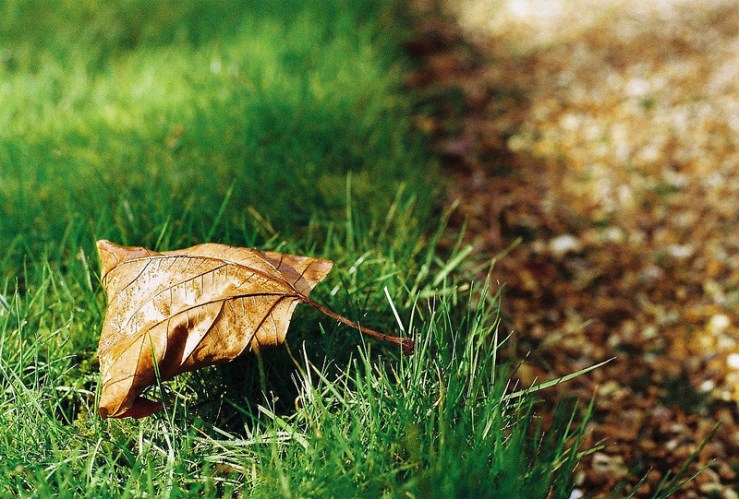 24756309524_33b2af4288_c