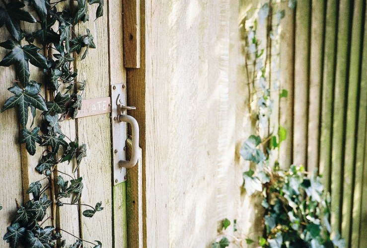 25254108244_b57085c6d2_c