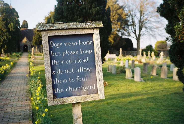 25860910416_098c06587a_c