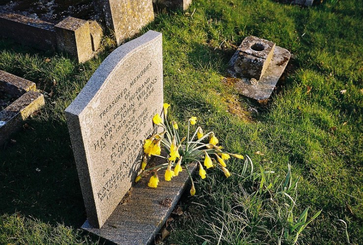 25886827525_39bdeedbe1_c