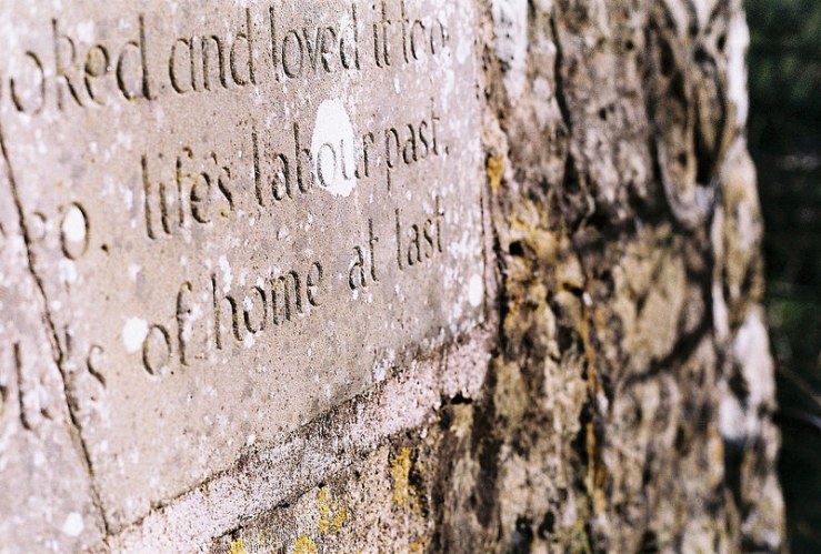 25515303914_013b92e820_c