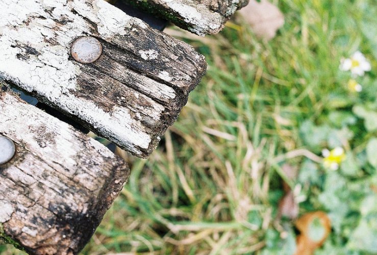 26194716015_e7212b4cd9_c