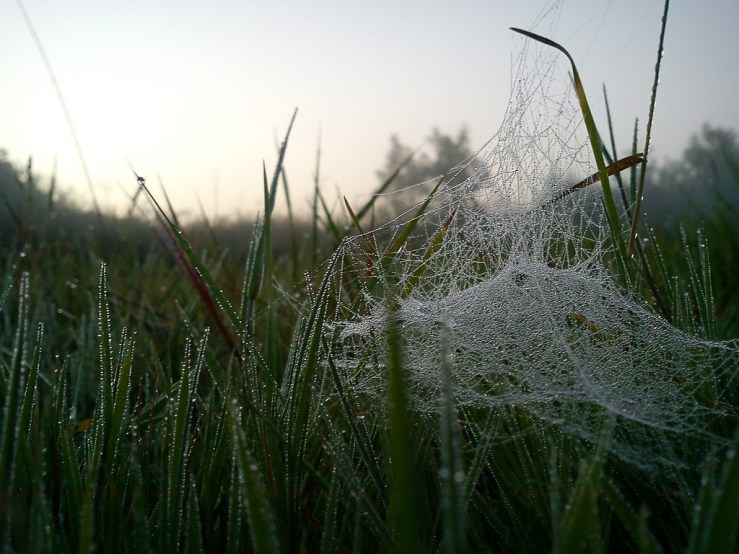 6198824108_b19e0d86f7_b