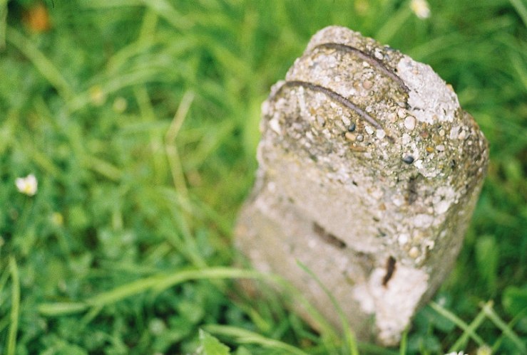 27562053743_bcc9eb1e48_c