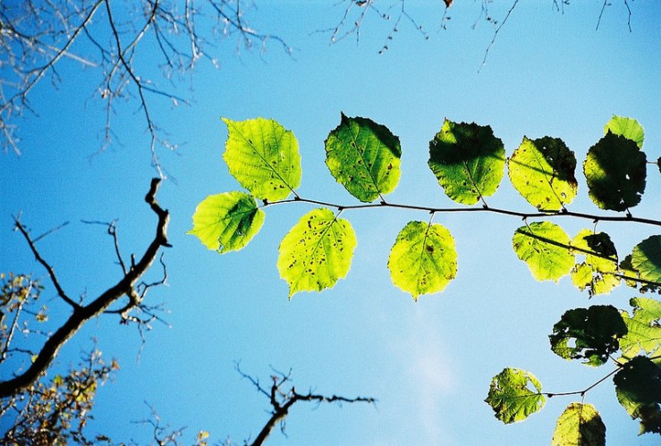 15726540038_74511d3d28_c