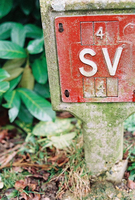 16600285071_42514da5a9_z