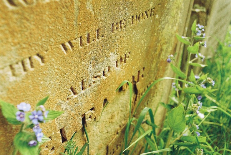 26957535294_7f461490a3_c