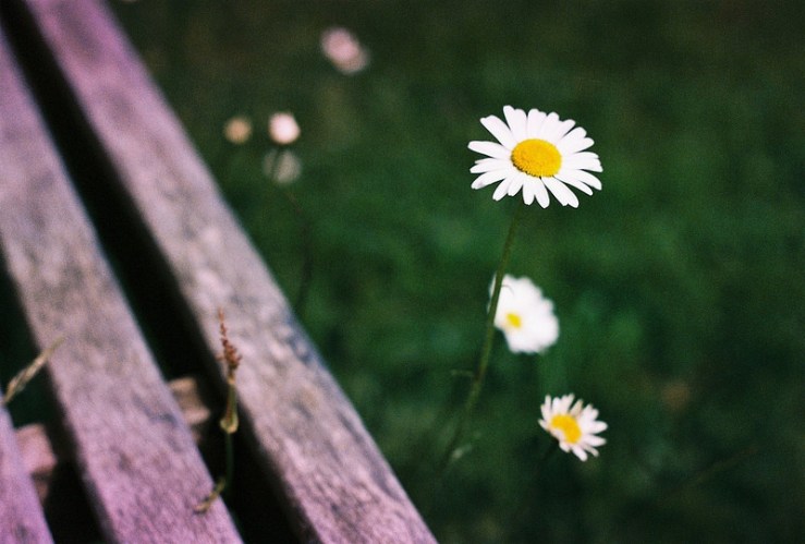 27726779361_e565101d85_c