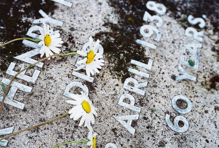 27120758264_4937b83cbb_c