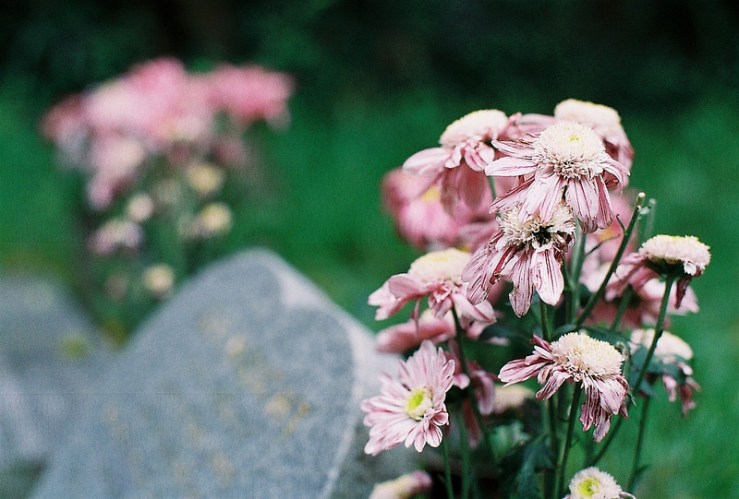 29151798922_2b8f611fe5_c