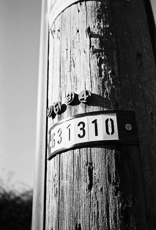 30354427062_b6632661ab_c