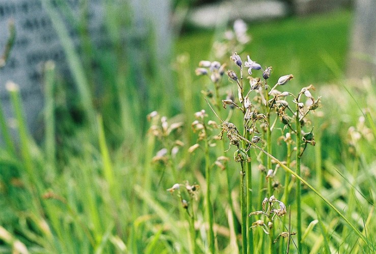 27220260951_60c5ab05a4_c