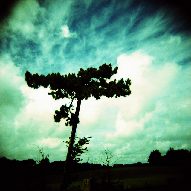 7998759703_22128e61fe_z