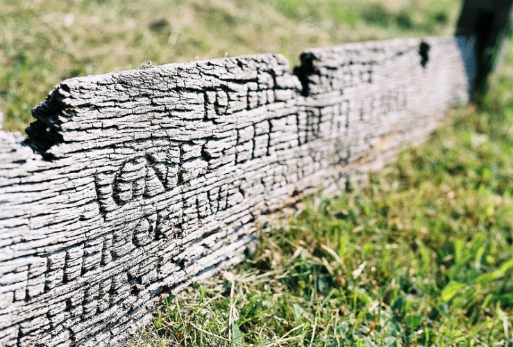 27999065313_1dd8b6a847_c