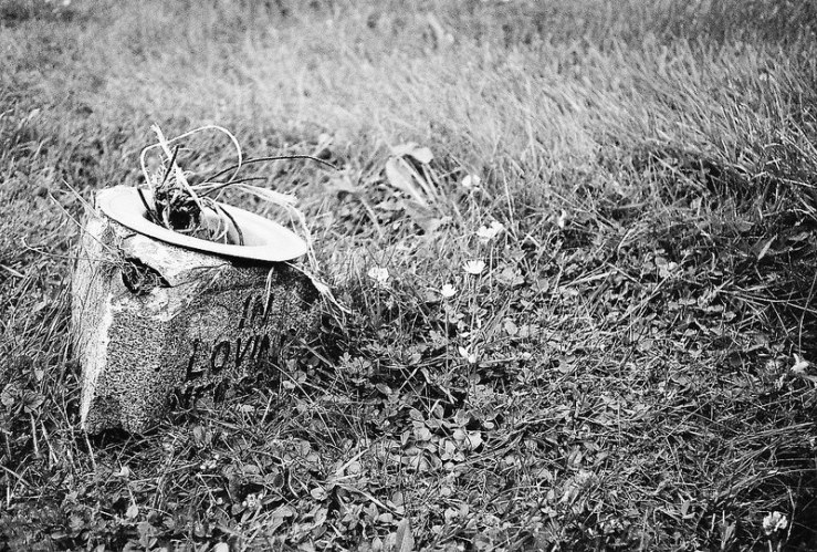 28615508456_40be14a7b1_c