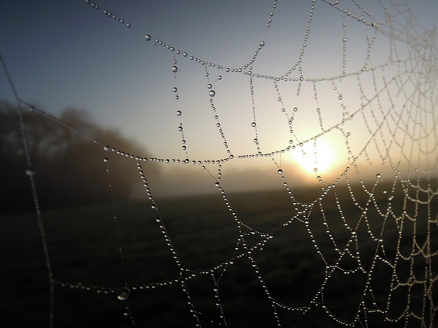 6440962177_7d1a8be2a5_z