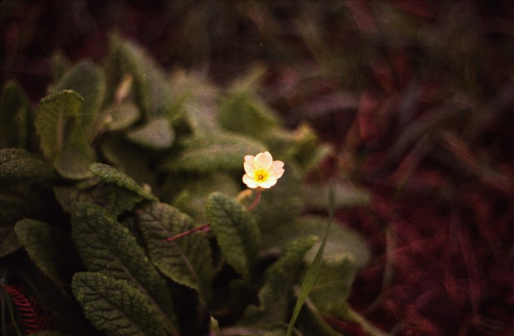 8454000898_ab88ebc057_c