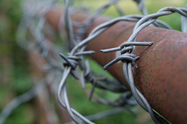 19045388134_59f5620fb4_c