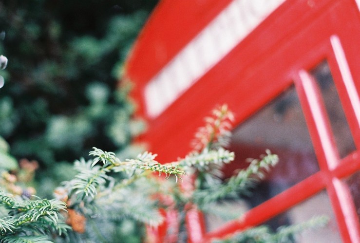 21010579834_9f3f4a3fce_b