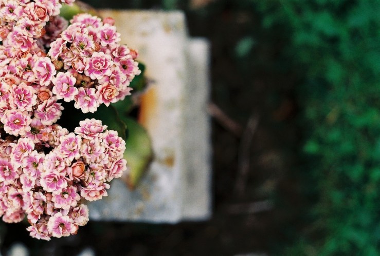 21642355531_27aabfb949_b