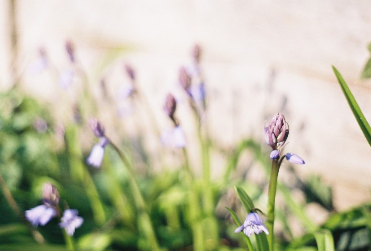 25761270393_3ff61d6a71_b