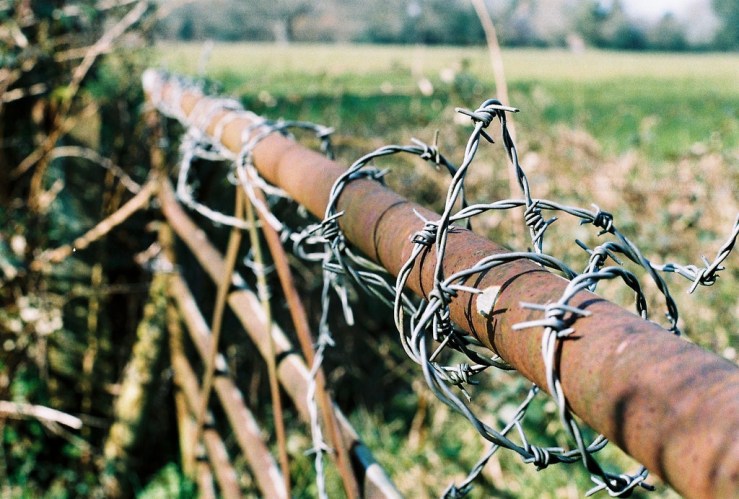 26333984863_0a034c8de4_b