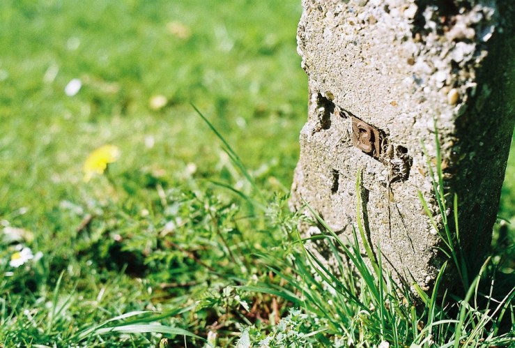 26620394123_c5686bc6c1_b