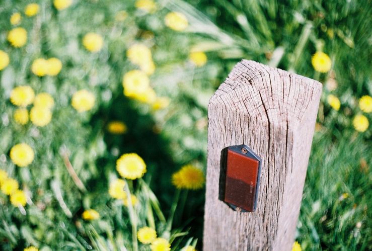 27129015332_0e42b42f57_b