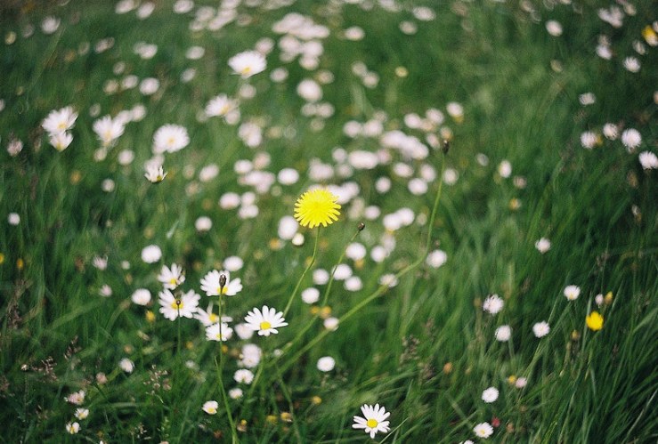 27279221403_7c168da147_c