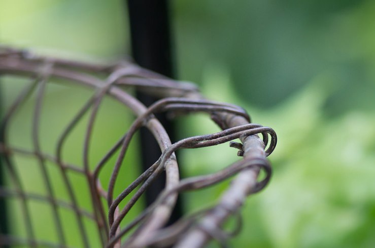 27351588994_db5a712555_c