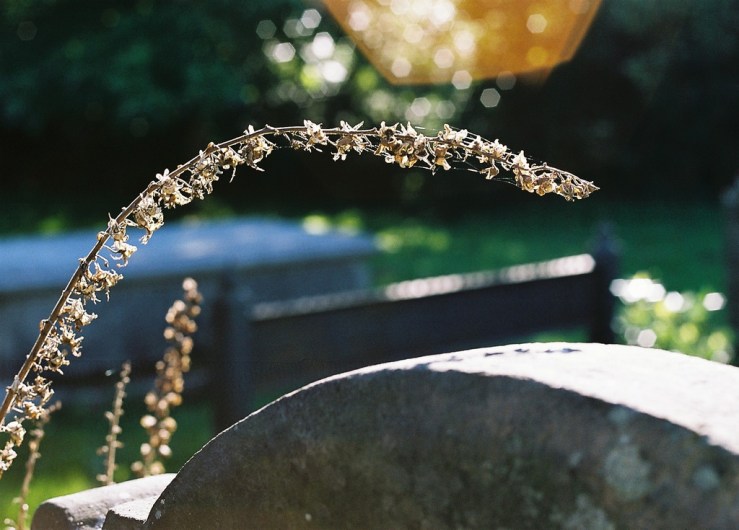 29344144213_f3bcb53313_b