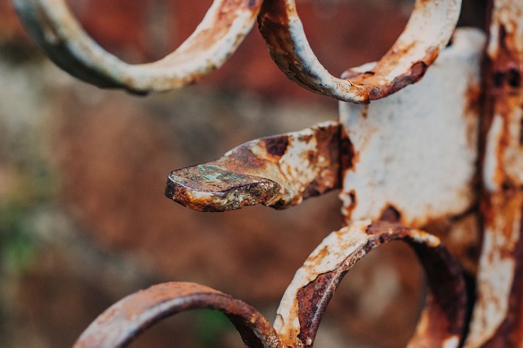 31926640694_0ee436ee1d_c