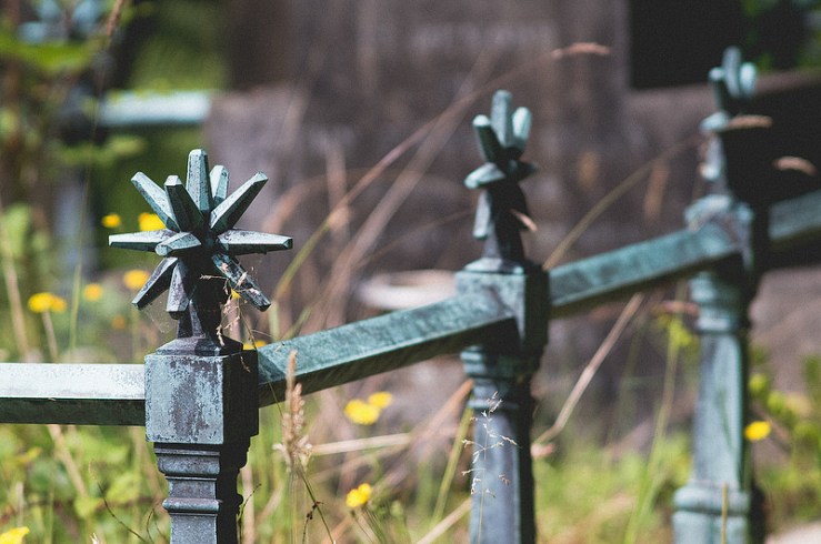 32154994416_c5d788fe77_c