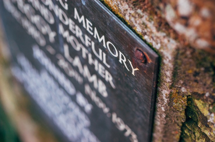 32730194055_8be63dbf95_c