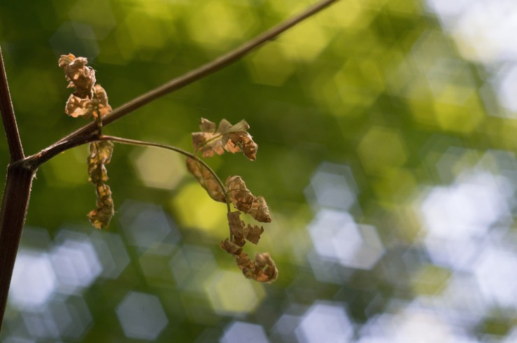 19298082492_b9a4761f13_b1