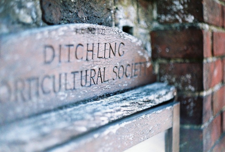 26396287284_52406f7428_b