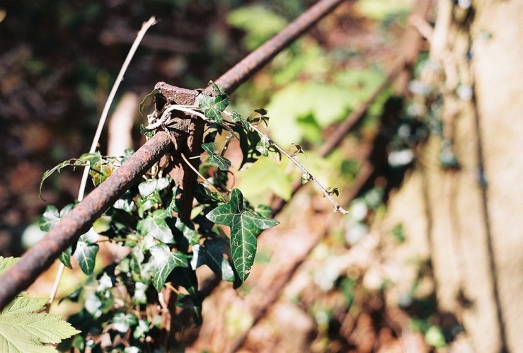 27495692464_29c17fedb4_b