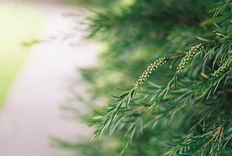 28099283881_876ec591b2_b