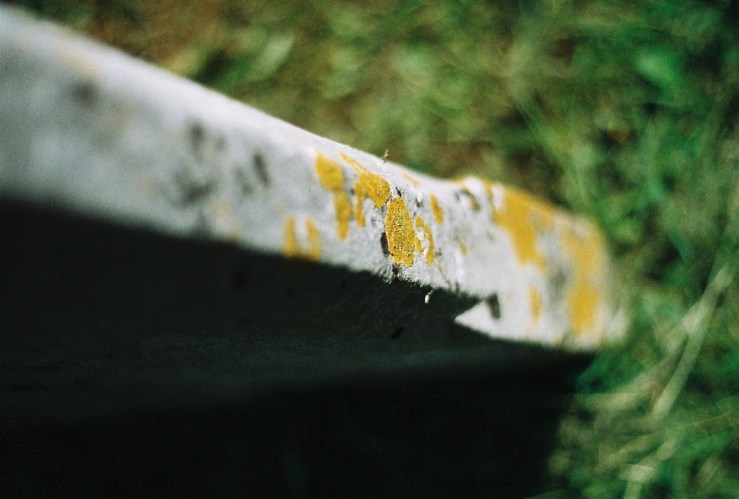 29023769350_c1f10f44b8_b