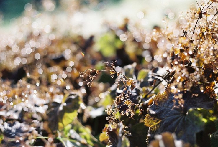 31708281500_fc2c171dcd_b